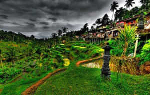 HDR-riziere-bali-lebaliblog