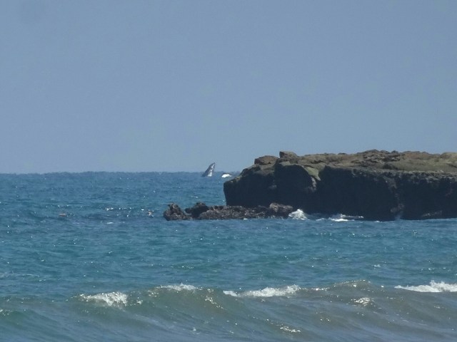 IMG_20160801_184628307.jpg image